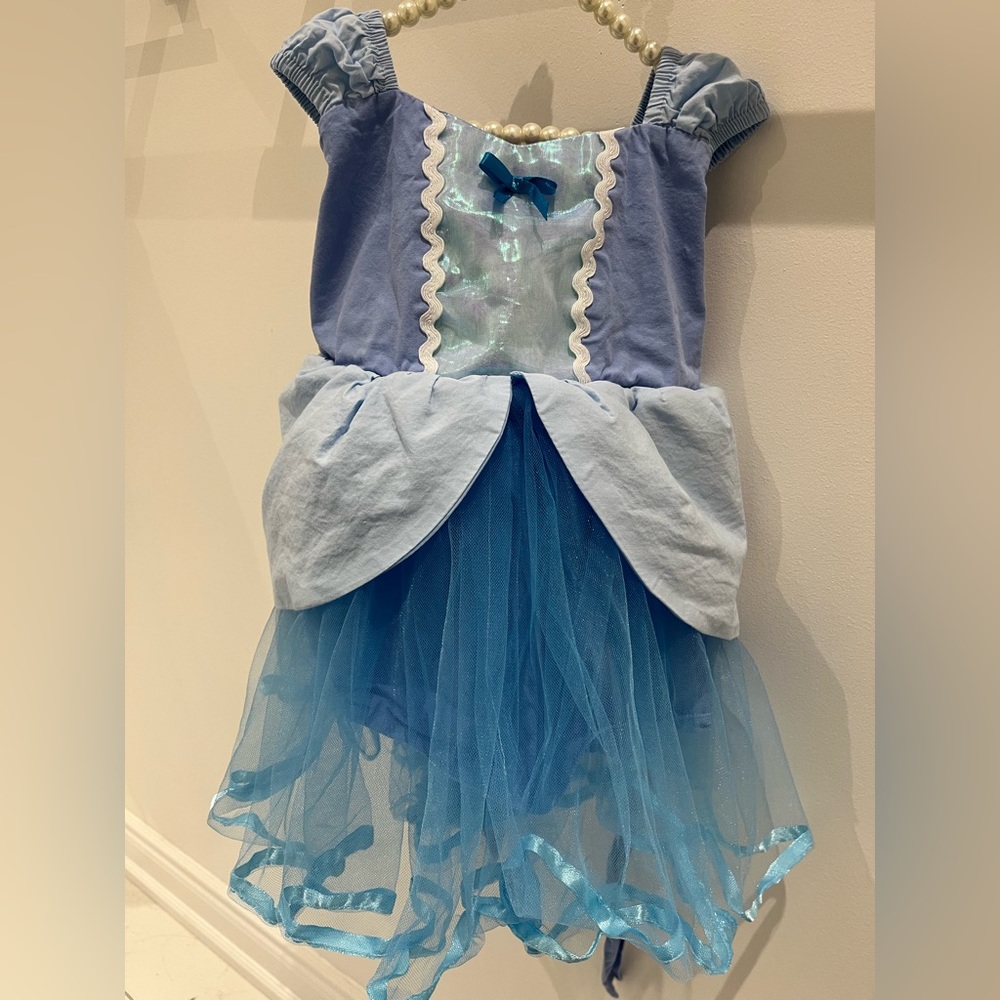 Cinderella Halloween costume